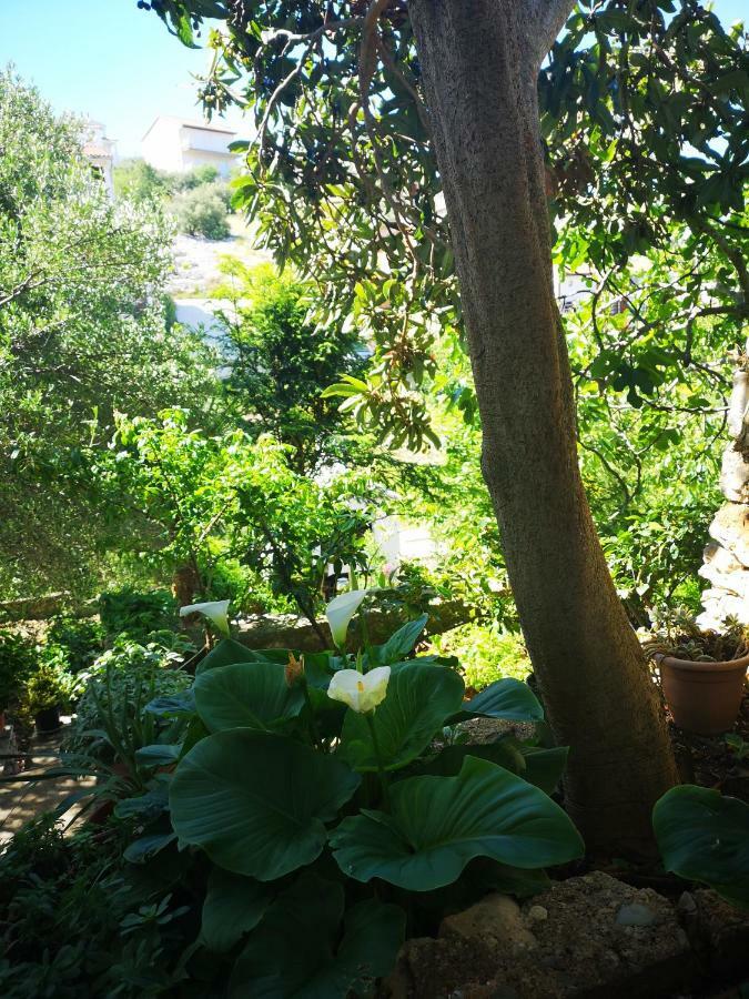Apartman Sissy Primošten Exterior foto